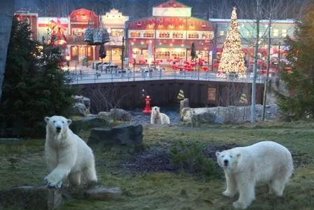 Winter-Zoo Hannover: Yukon Bay by night! Bild: Winter-Zoo Hannover: Yukon Bay by night!