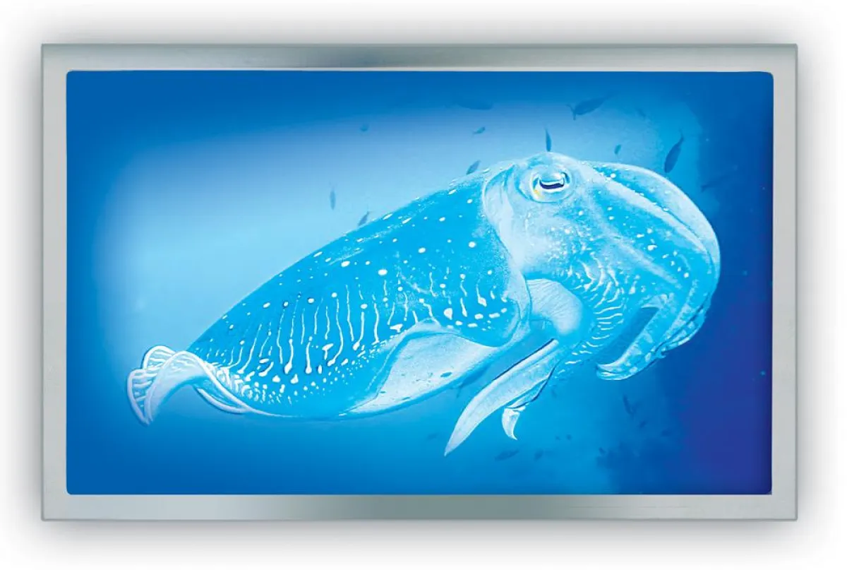 HY-LINE Computer - 4,3'' Display mit MVA-Technologie im 16:9 Format von DataImage