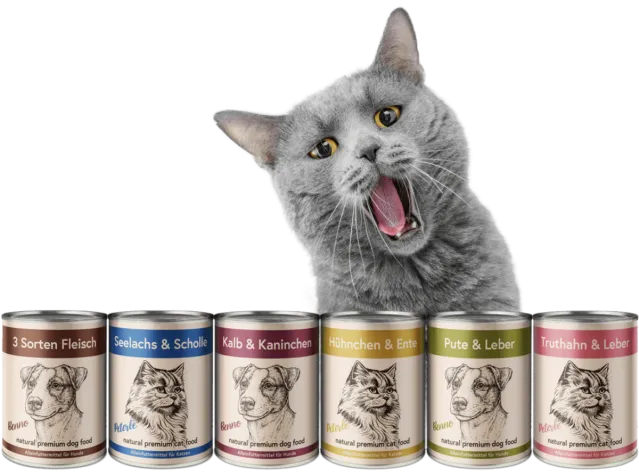 Bild: Tierheime retten, ohne den Alltag zu ändern