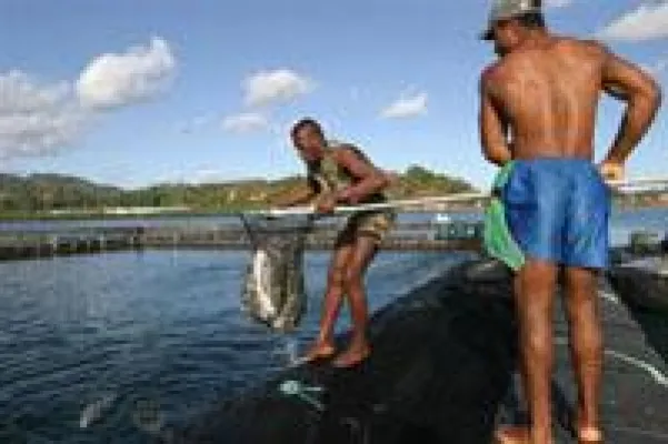 Bild: Kleine Inseln, großer Fischfang