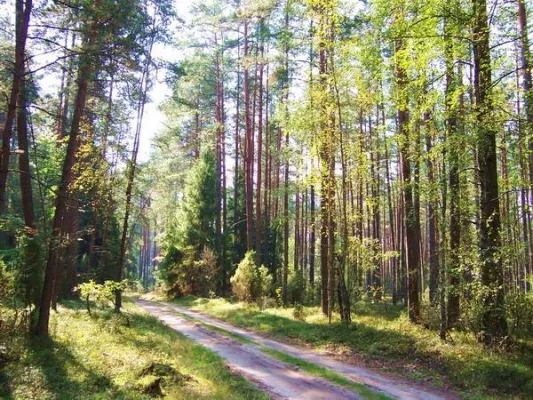 Bild: Herbstferien in Polen