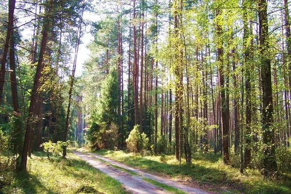 Bild: Herbstferien in Polen