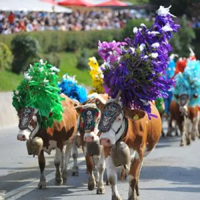 Bild: Feste rund um den Almabtrieb in der Ferienregion Hohe Salve