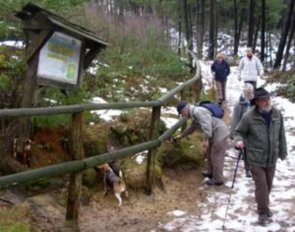 Hohe-Mark-Steig: Zweite Etappe nicht ganz eisfrei Bild: Hohe-Mark-Steig: Zweite Etappe nicht ganz eisfrei