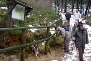 Bild: Hohe-Mark-Steig: Zweite Etappe nicht ganz eisfrei