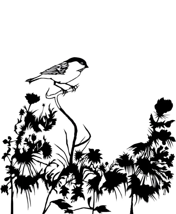 Hans Lankes No guru, no method, no teacher 1, Messerschnitt, 2011