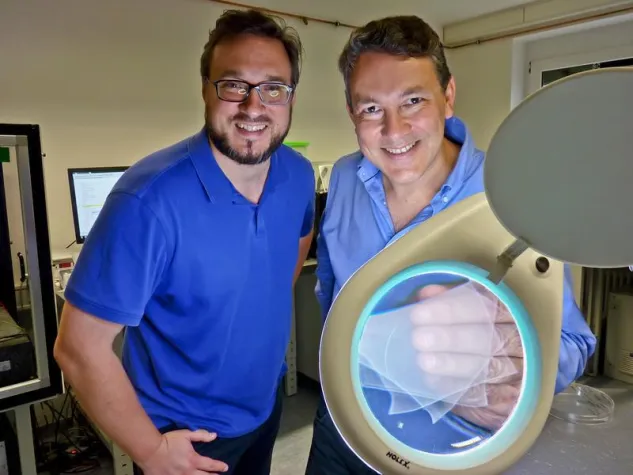 Bild: Reizbare Fasern