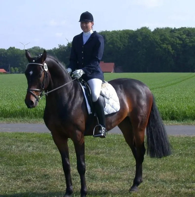 Martina Albrecht mit dem Pferd Rockstar