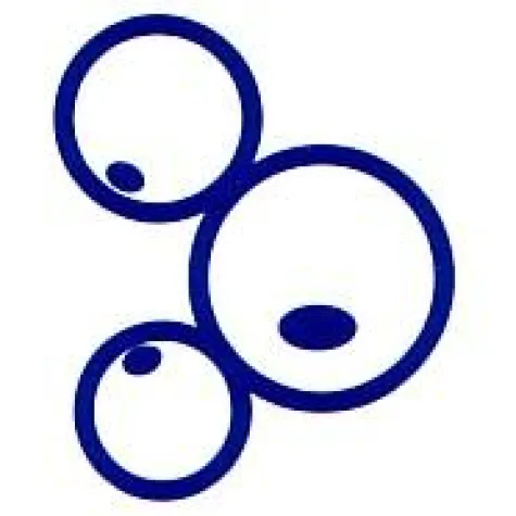 Erster Europäischer Adipositas-Tag ins Leben gerufen Bild: Erster Europäischer Adipositas-Tag ins Leben gerufen