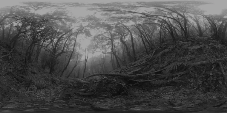 NEUSTART KULTUR | Zweigstelle Berlin bei augsburg contemporary Bild: NEUSTART KULTUR | Zweigstelle Berlin bei augsburg contemporary