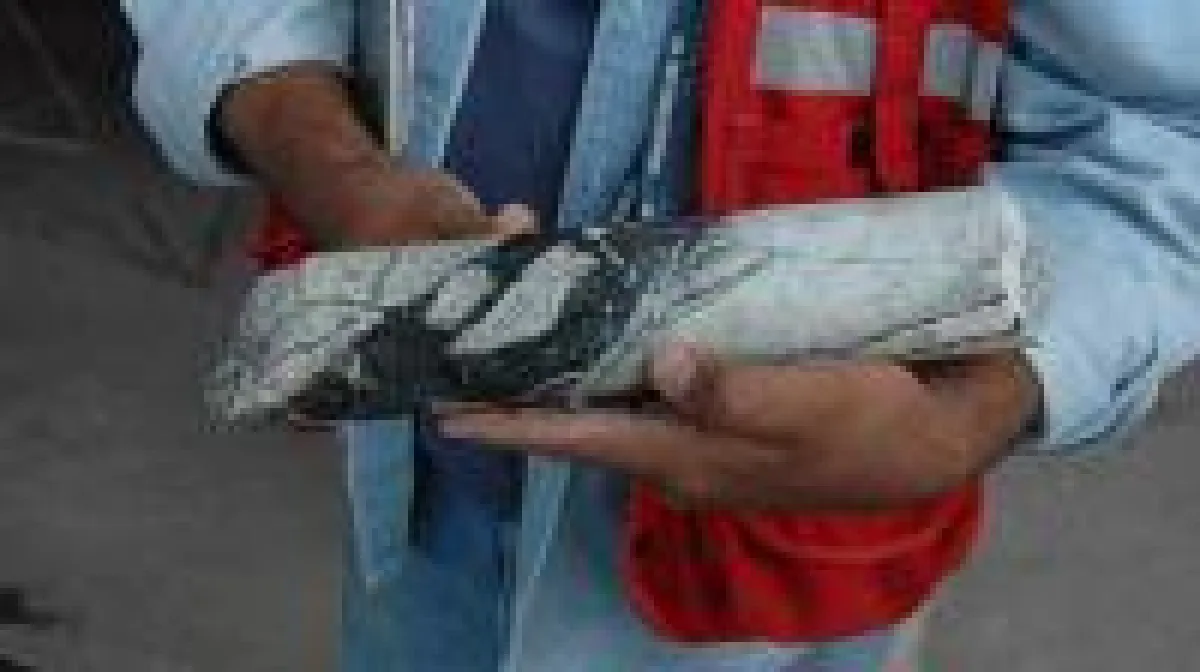 Quelle: Discovery Metals