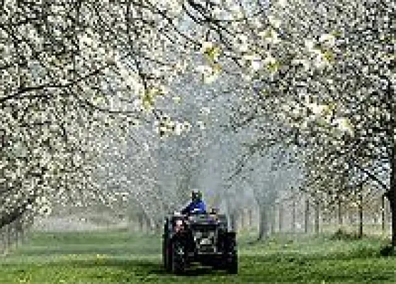 Bild: Redesign für vier Forschungsinstitute