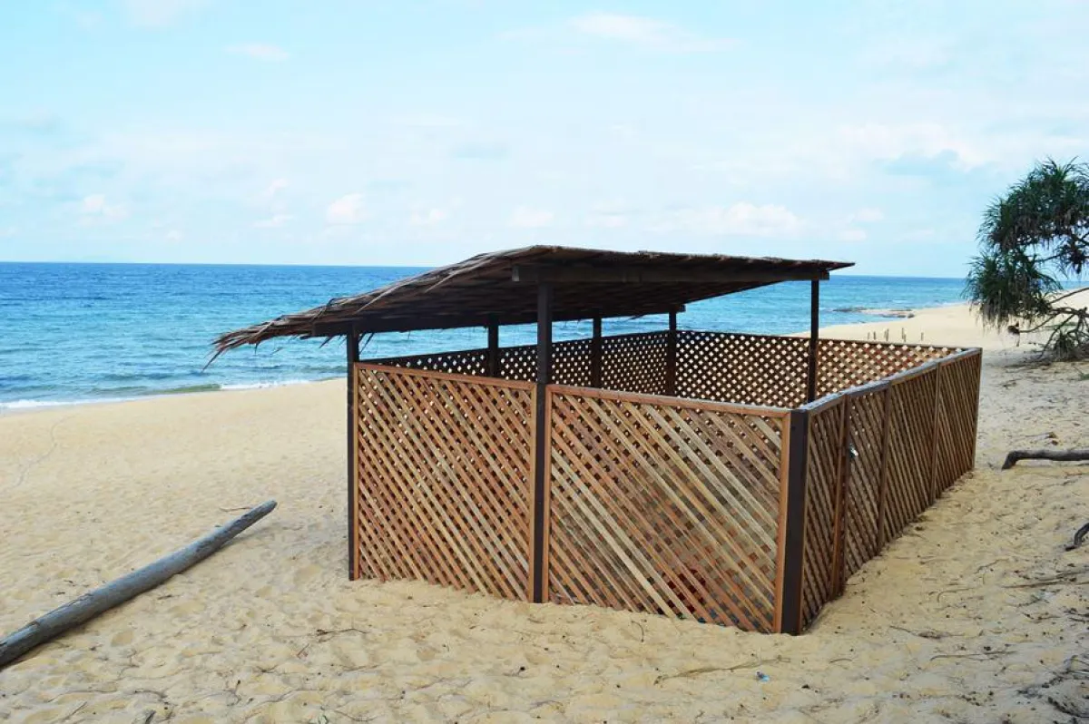 Im Bruthaus geschützt - für Meeresschildkrötengelege am Tanjong Jara Resort