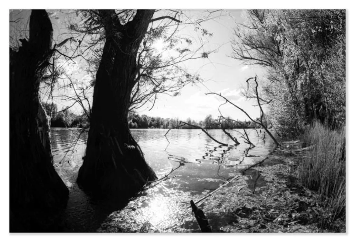 Das Mehr in der analogen Infrarot-Fotografie