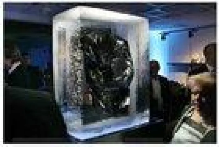 Bild: Junges Blut für Bäumler VIP-Event in Ingolstadt