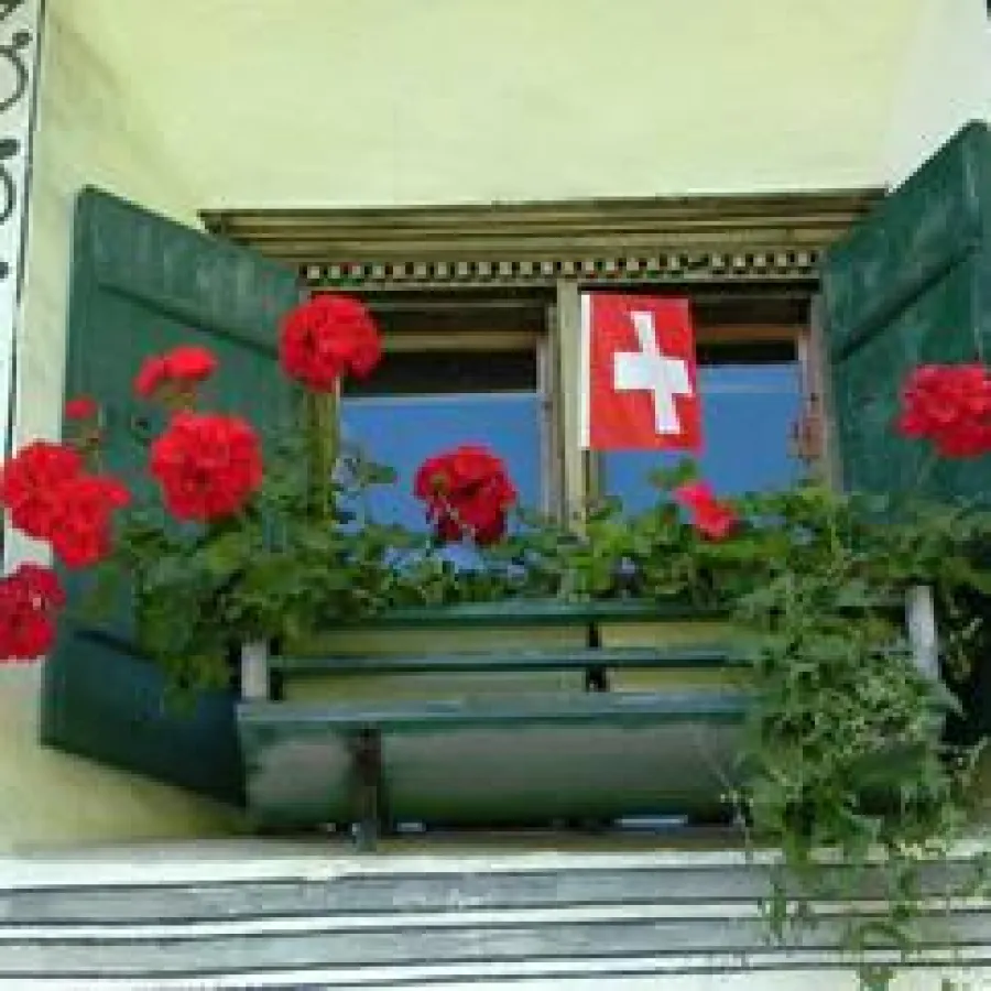 Moderne Pflanzkübel für die Schweiz