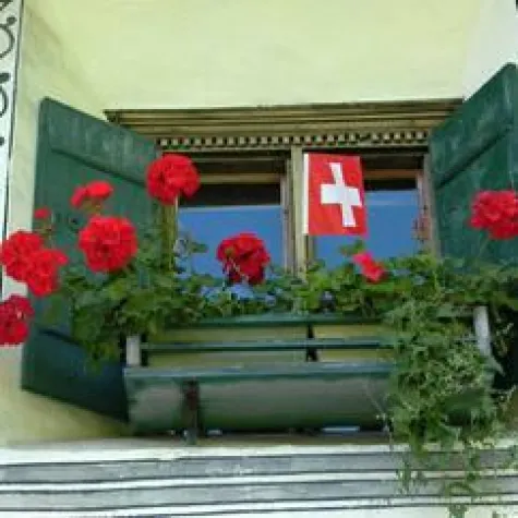 Bild: Eastwest-Trading expandiert: Blumenkübel und Pflanzkübel für die Schweiz