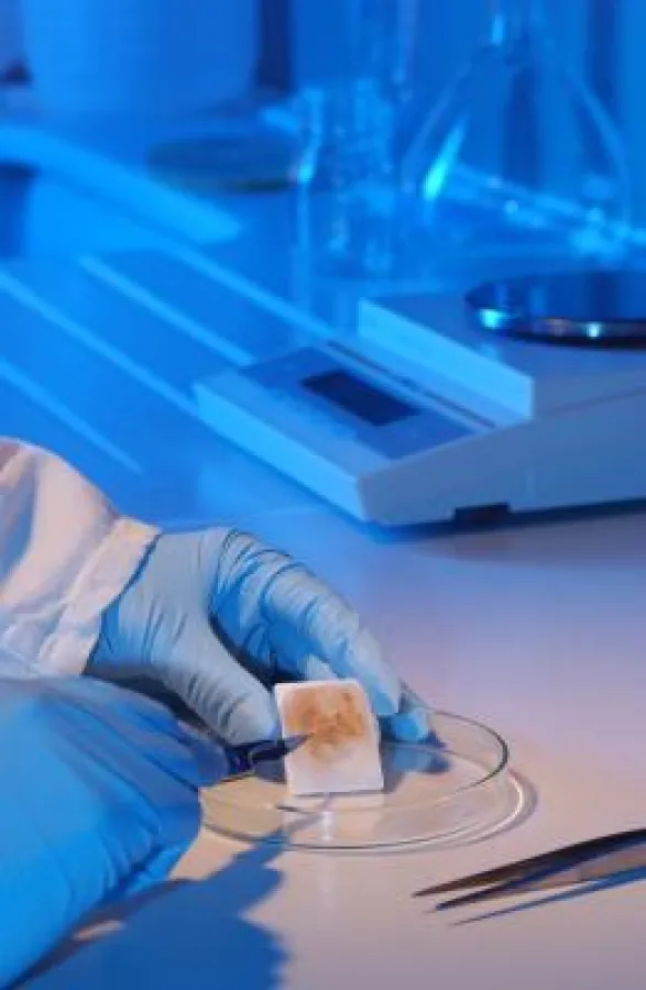 Vaterschaftstest im Labor