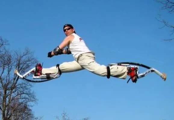 Bild: Echt Wahnsinn: Geschenke-Wunderkammer bietet Verrücktes für das Weihnachtsfest