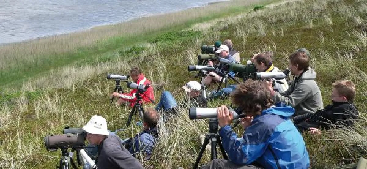 Vogelbeobachtung