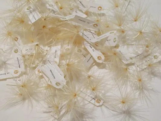 Bild: Einjähriges Jubiläum von 100 kubik, der ersten Galerie für spanische Kunst in Deutschland