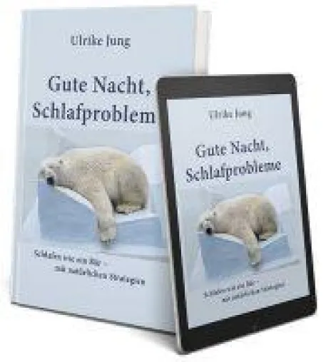 Gute Nacht Schlafprobleme - wieder schlafen wie ein Bär Bild: Gute Nacht Schlafprobleme - wieder schlafen wie ein Bär