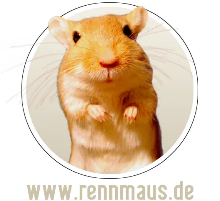 Bild: Rennmäuse als Haustiere immer beliebter: Relaunch des größten europäischen Rennmausportals