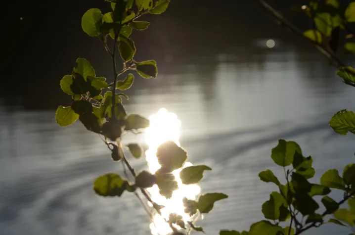 Bild: Burnout und positiver Stress