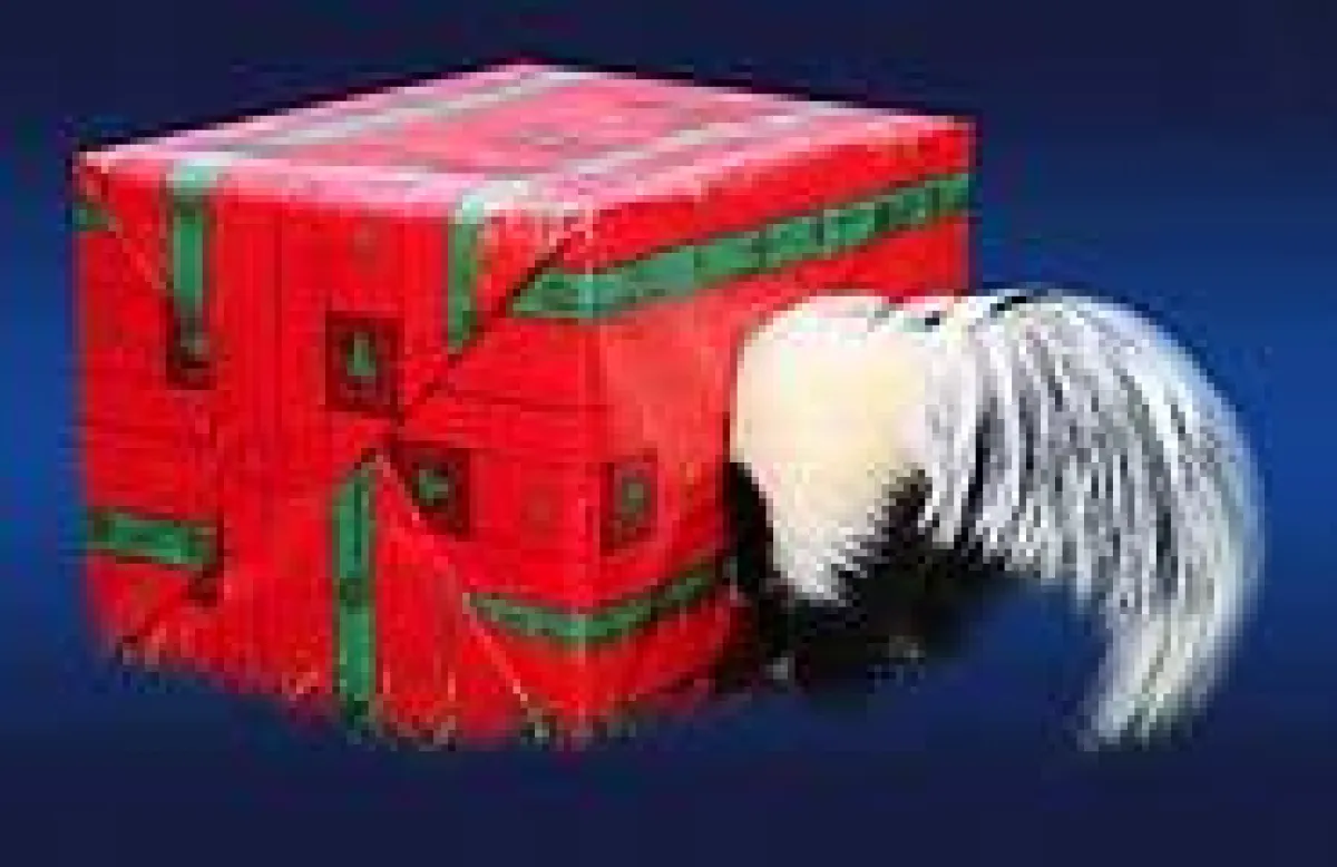 Relaunch nach 5 Jahren. Der neue Zoo Shop steckt voller Überraschungen!