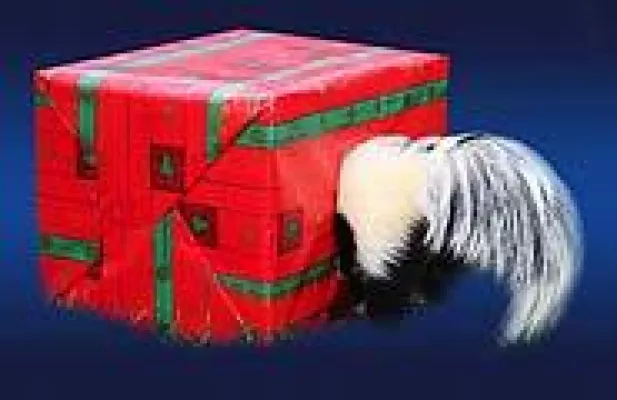 Bild: Neuer Zoo-Shop des Erlebnis-Zoo Hannover online