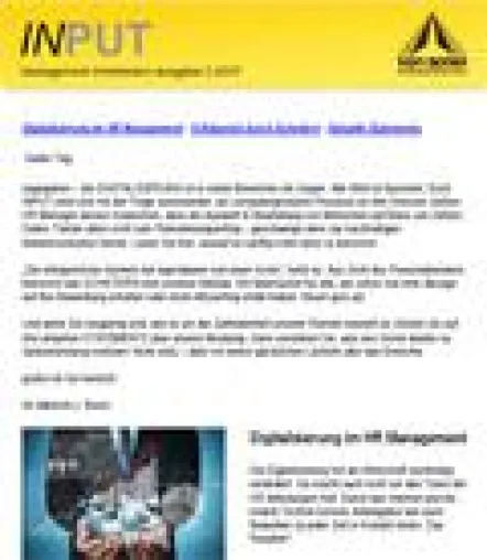 Bild: Management Information INPUT
