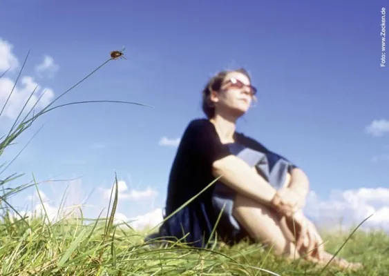 Bild: Deutsche Vermögensberatung (DVAG) empfiehlt Unfallversicherung für durch Zeckenbiss übertragene Infektionen