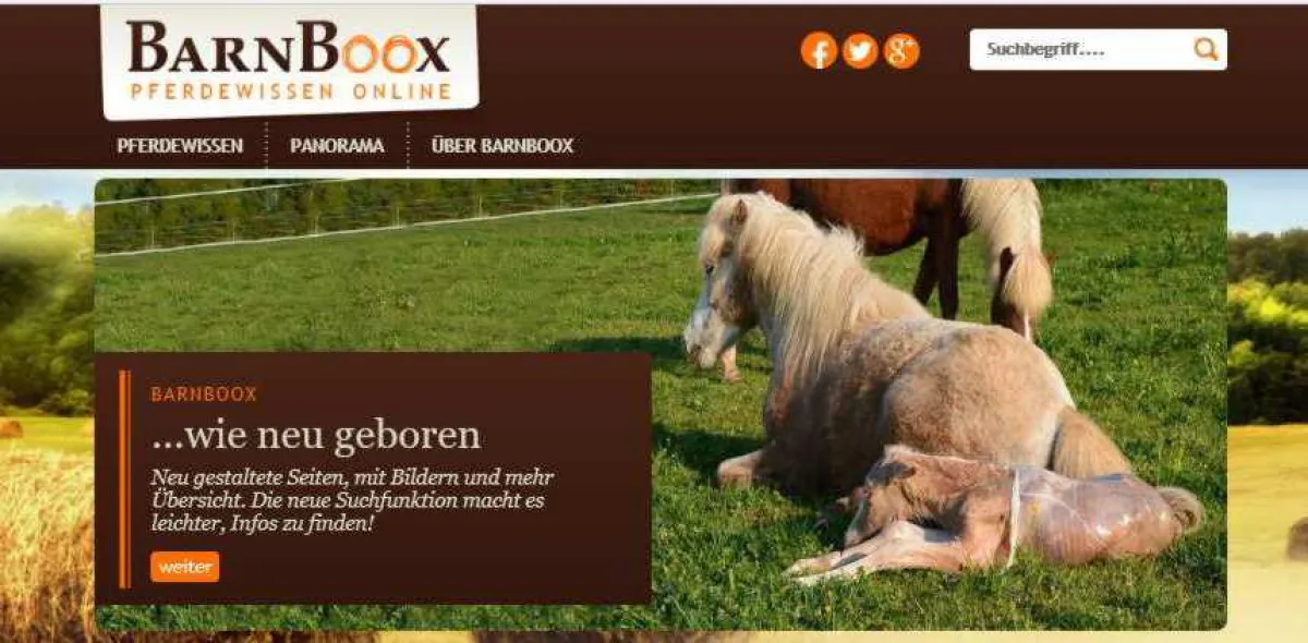 Die Pferdeseite barnboox.de präsentiert sich nach Relaunch im neuen Look.