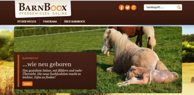 Bild: Barnboox ... wie neu geboren
