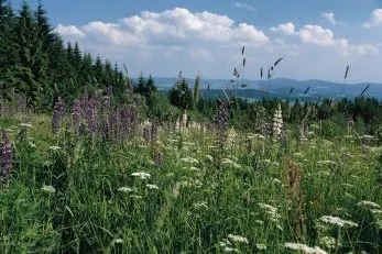 Wellness und Wohlfühlen auf dem Hüttenhof Bild: Wellness und Wohlfühlen auf dem Hüttenhof