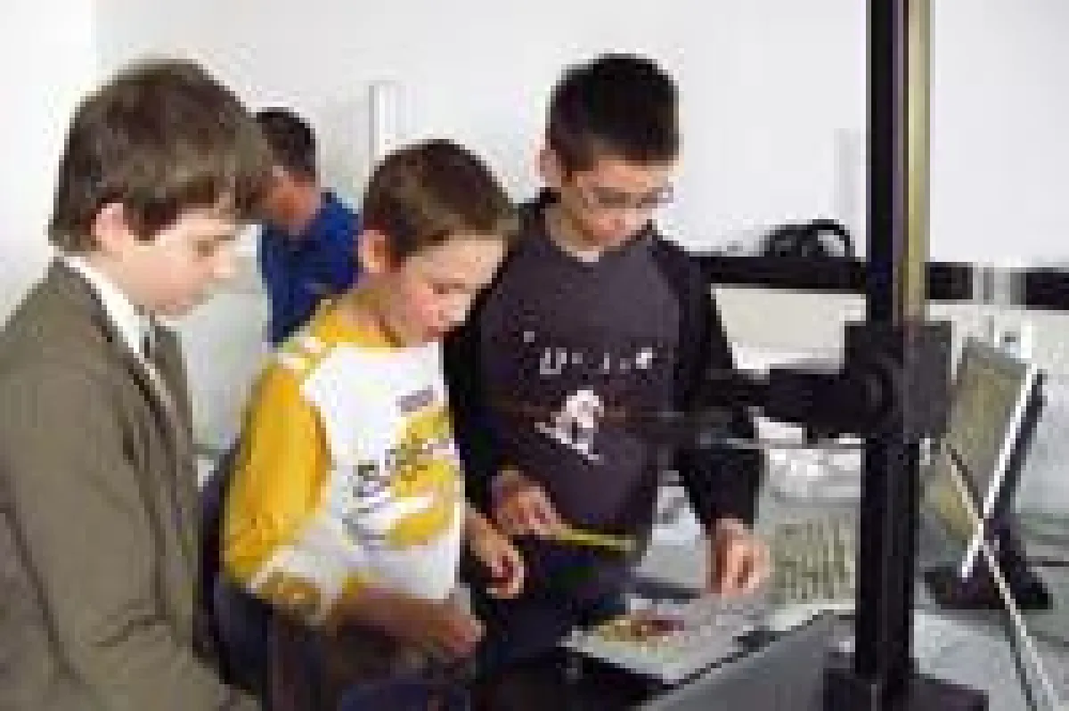 Schüler der 4.Klasse bei Projektaufgabe
