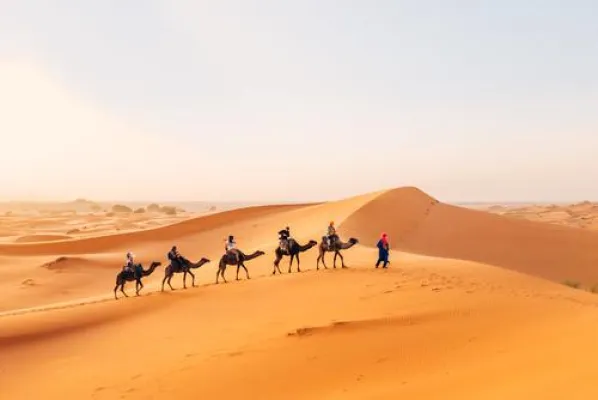 Bild: Wie wir die Wüsten wieder begrünen, um mehr Lebensraum für Tiere und Pflanzen zu schaffen.