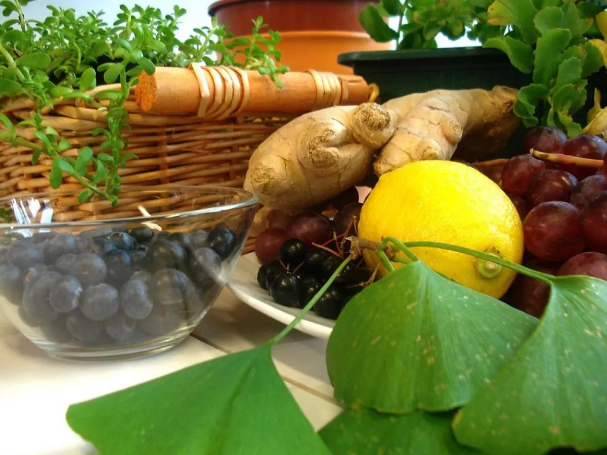 Neuronade Denk-Getränk