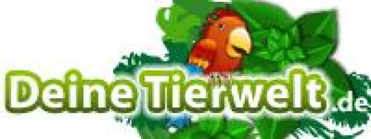 Bild: Hund sucht Knochen, Katze sucht Streu - Tier-Communities sind die ideale Werbefläche
