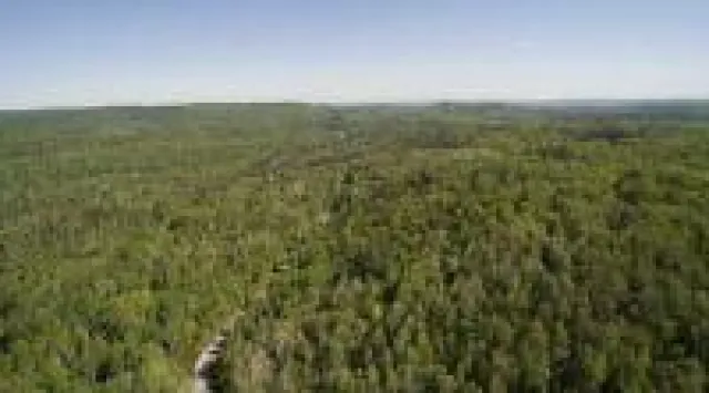 Bild: Weitblick bewahren