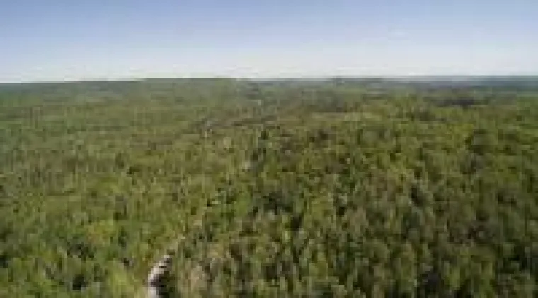 Bild: Weitblick bewahren