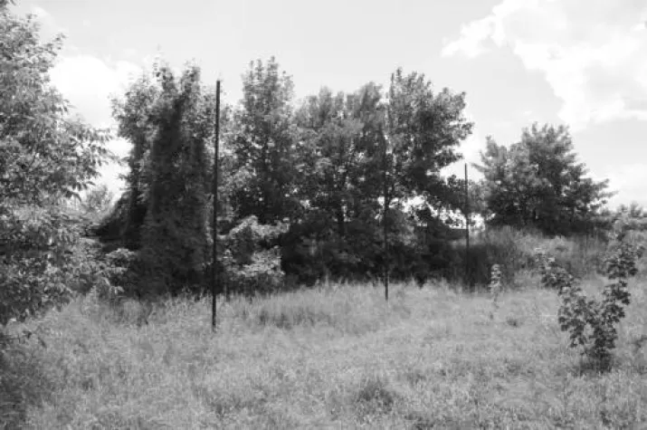 Bild: Gegen das Vergessen: Erinnerung an den jüdischen Sport in Leipzig