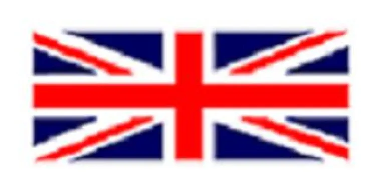 Bild: Junge Briten stimmten für Verbleib in der EU – Alte und Nationalisten dagegen