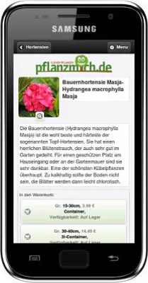 Bild: Onlinehandel: Chancen im Mobile Commerce erkennen