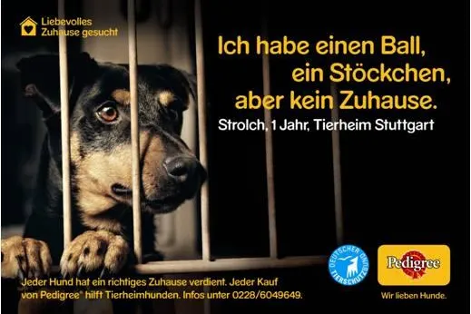 Bild: Pedigree startet Vermittlungsaktion von Tierheim-Hunden