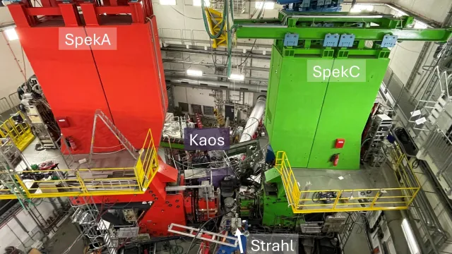 Bild: Autismus-Spektrum wird häufiger diagnostiziert