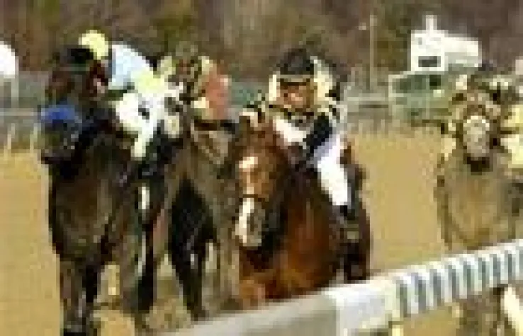 Bild: Thanksgiving Galopp Festival in den USA