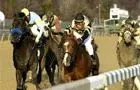 Bild: Thanksgiving Galopp Festival in den USA