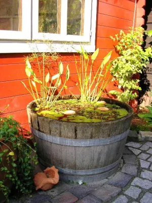 Bild: Mini-Teiche für Balkon und Terrasse