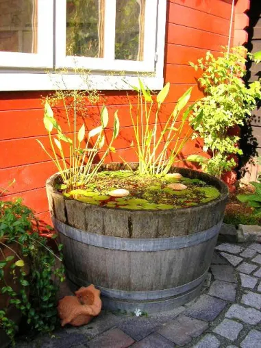 Mini-Teiche für Balkon und Terrasse Bild: Mini-Teiche für Balkon und Terrasse